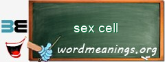 WordMeaning blackboard for sex cell